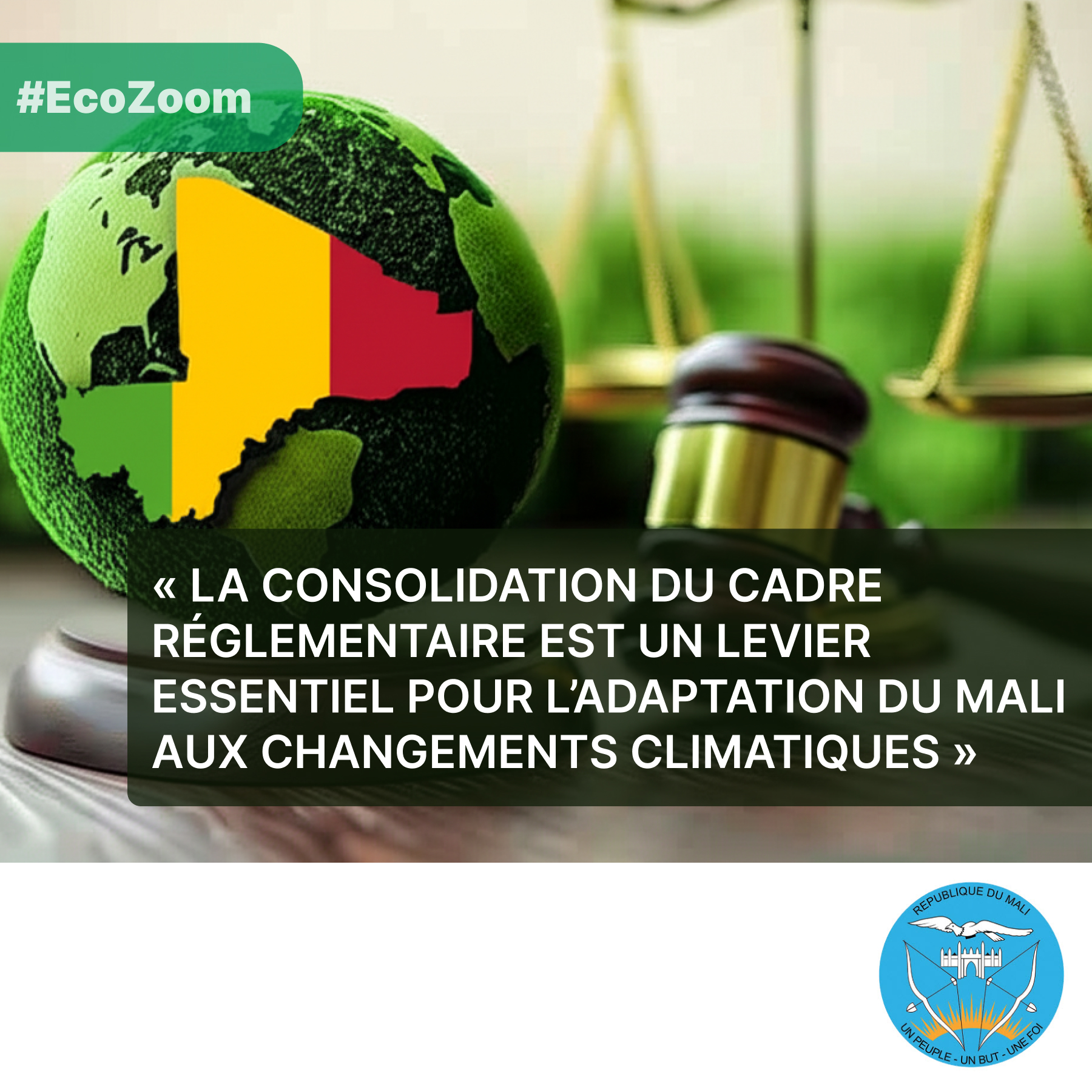 Le cadre réglementaire environnemental au Mali : un pilier pour l’adaptation climatique