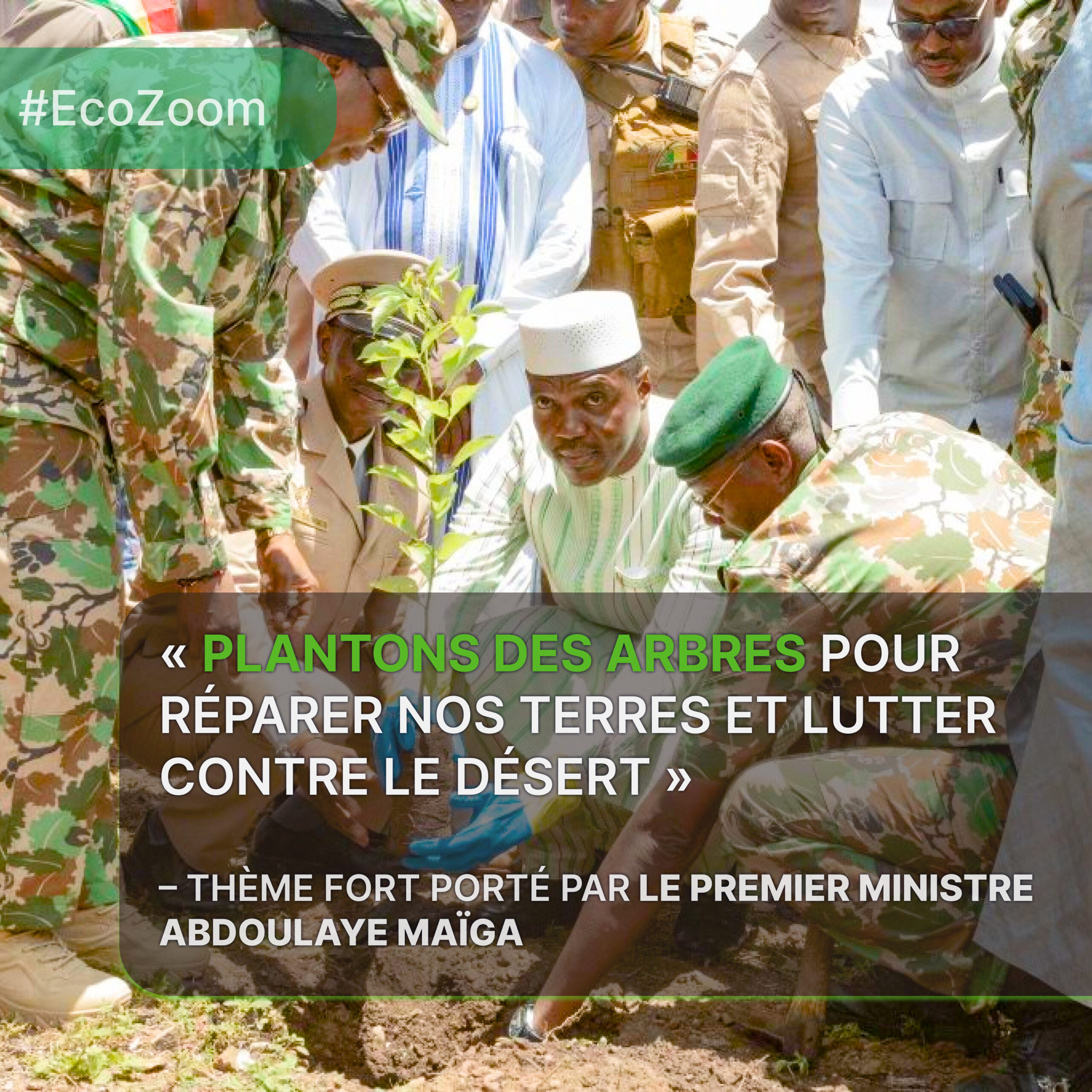 Mali : Reboisement massif et mobilisation climatique en Afrique de l’Ouest – Actualité environnementale Juillet 2025