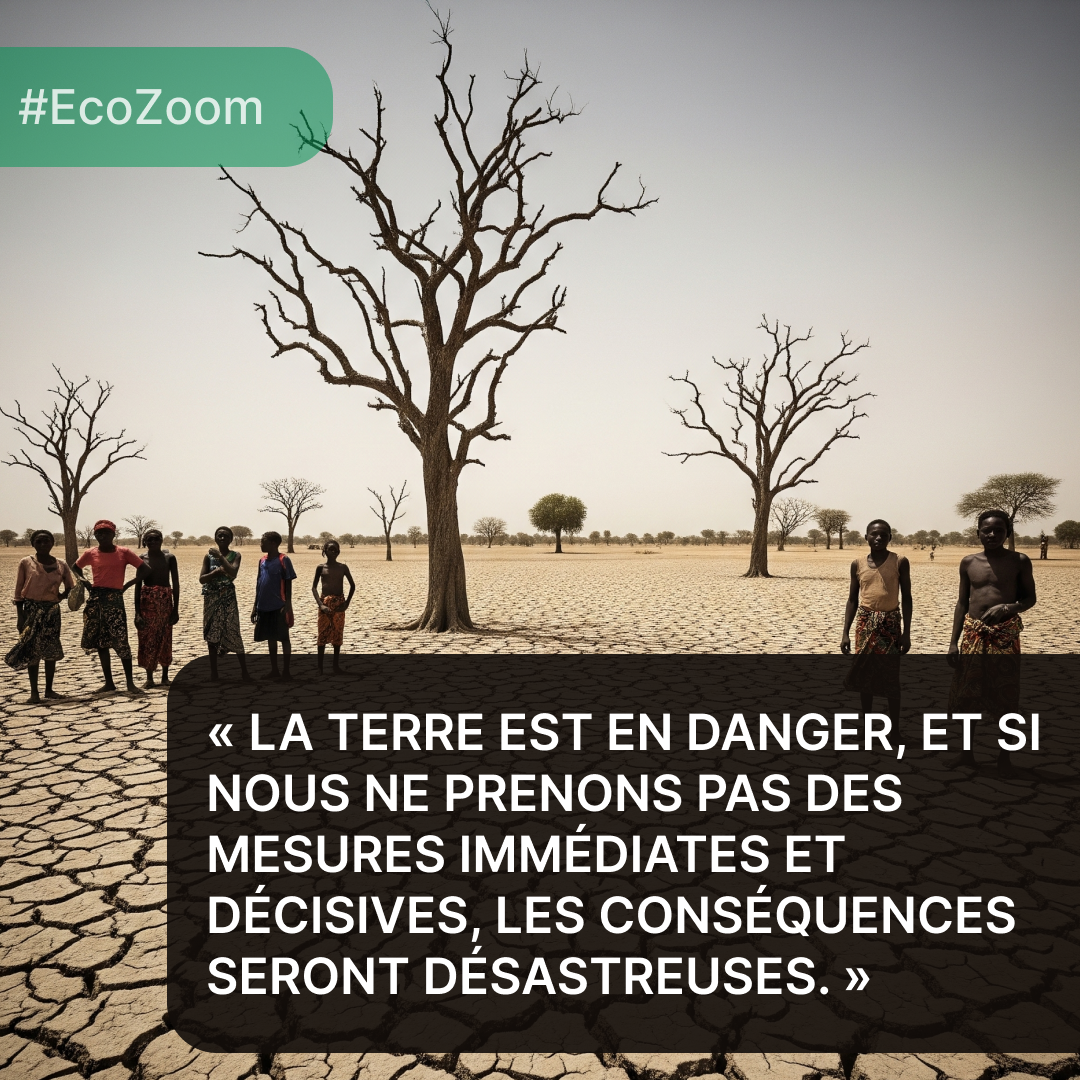 Climat et Dégradation des Terres au Mali : Urgence et Opportunités pour la Restauration