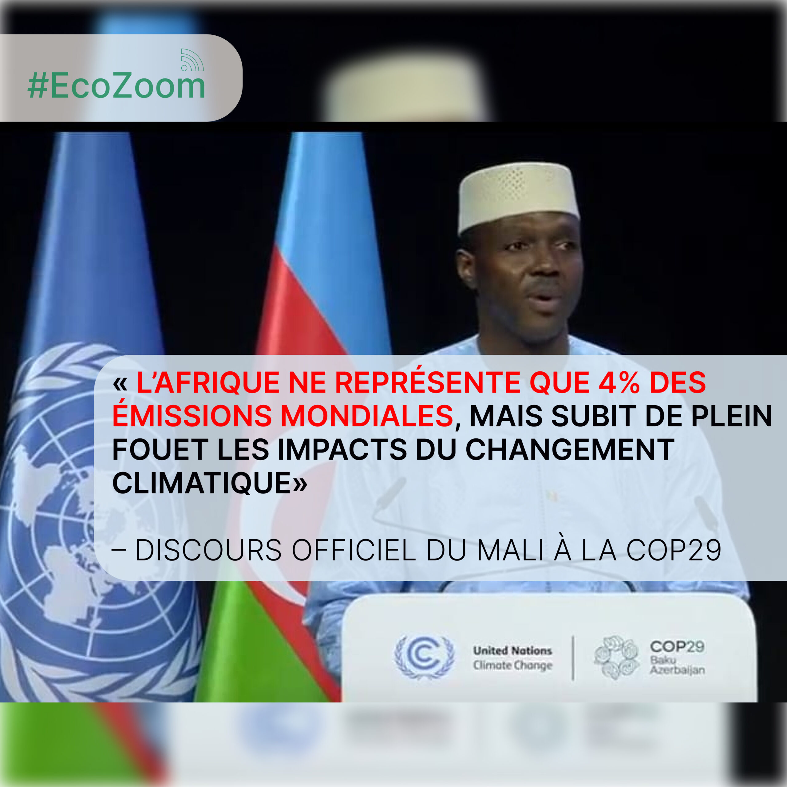 Mali : Reboisement massif et résilience climatique en Afrique de l’Ouest