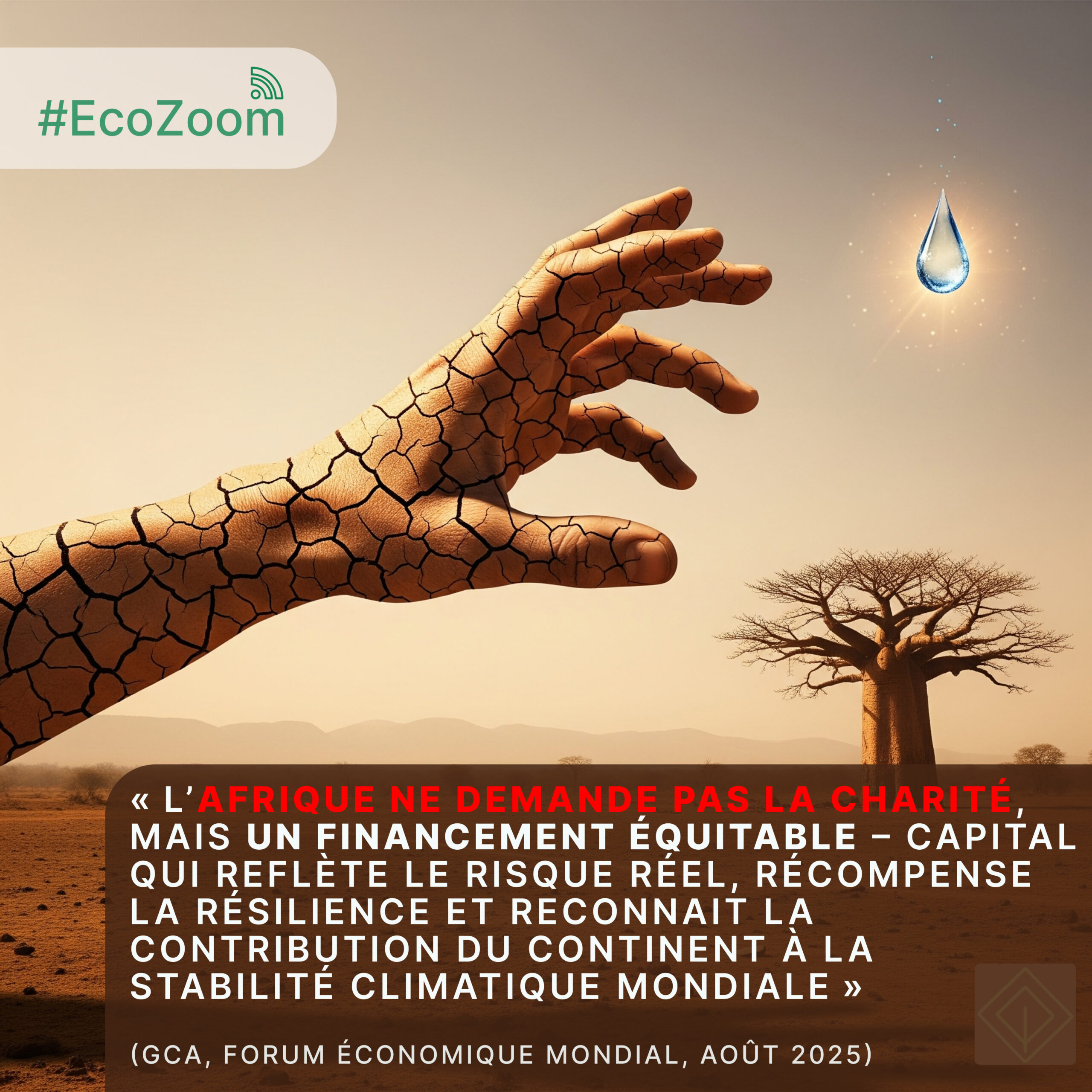 Afrique – Rapport 2025 sur le financement climatique : un écart alarmant freine l’adaptation