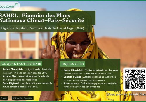 Sahel : quand climat, paix et sécurité se pensent ensemble