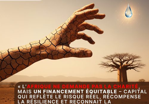 Afrique – Rapport 2025 sur le financement climatique : un écart alarmant freine l’adaptation