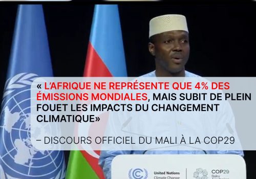 Mali : Reboisement massif et résilience climatique en Afrique de l’Ouest