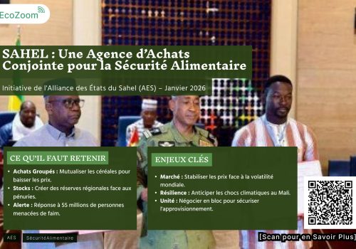 Sahel : vers une agence d’achats conjointe pour la sécurité alimentaire