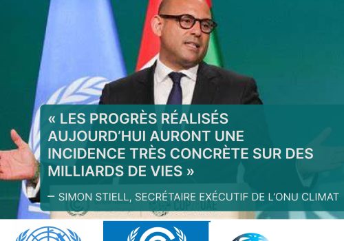 Inondations, climat et résilience au Mali : actualité et enjeux pour l’Afrique de l’Ouest