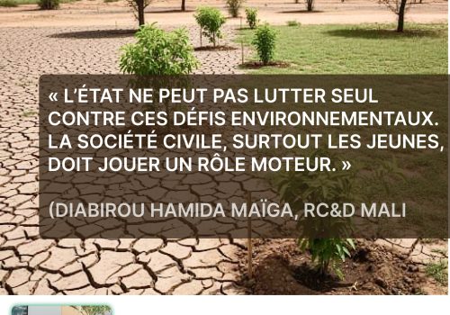 Dégradation des terres et climat : le Mali et l’Afrique de l’Ouest face à l’urgence environnementale