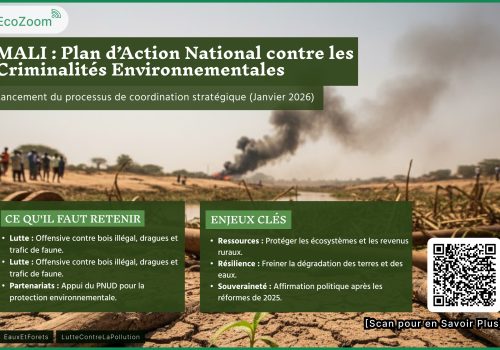 Mali : vers un plan d’action national contre les criminalités environnementales