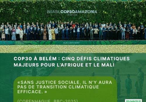 COP30 à Belém : cinq défis climatiques majeurs pour l’Afrique et le Mali