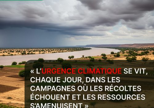 Sahel : Climat, pollution et restauration des terres — quelles urgences pour le Mali ?