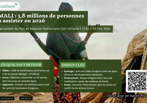 Mali : 3,8 millions de personnes à assister en 2026