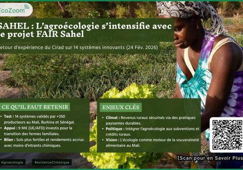 Sahel : l’agroécologie s’intensifie, le Mali en première ligne avec FAIR Sahel