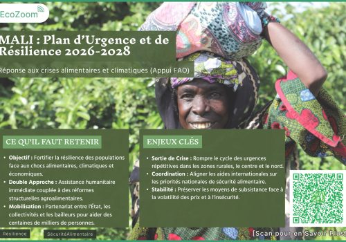 Mali : un plan d’urgence et de résilience 2026‑2028 pour faire face aux crises