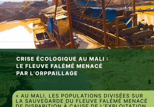 Crise écologique au Mali : le fleuve Falémé menacé par l’orpaillage – Alerte pollution et sécurité hydrique