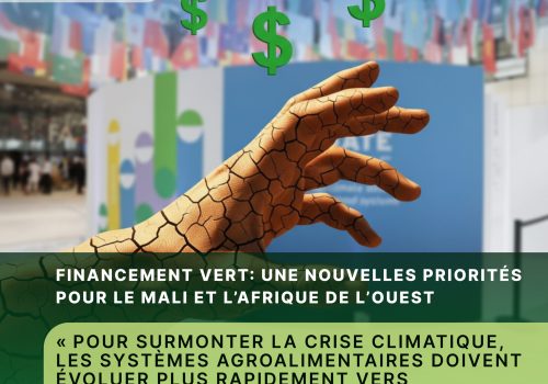 Climat : Semaine mondiale du financement vert et nouvelles priorités pour le Mali et l’Afrique de l’Ouest